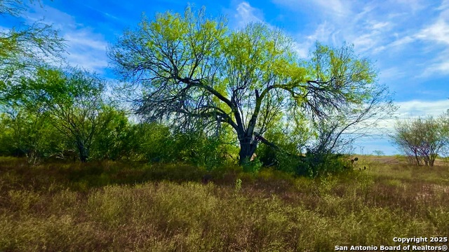 Listing photo id 10 for 0 County Road 107