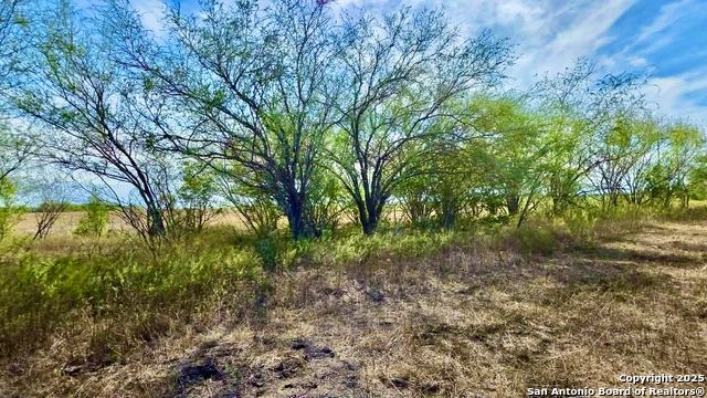 Listing photo id 11 for 0 County Road 107