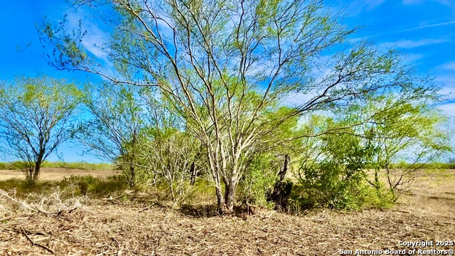 Listing photo id 12 for 0 County Road 107