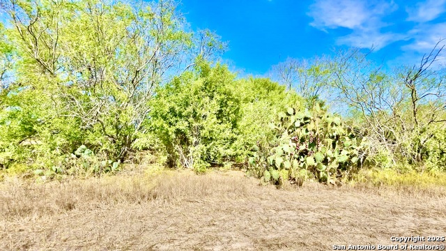 Listing photo id 13 for 0 County Road 107