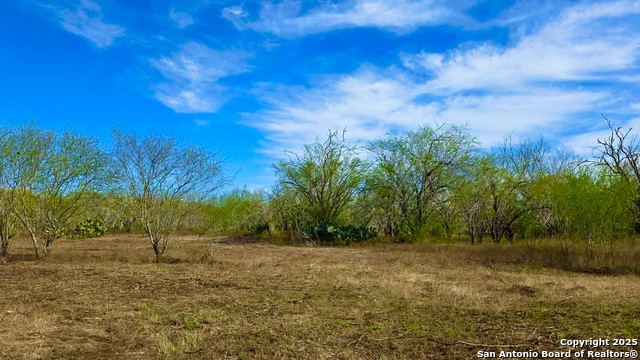 Listing photo id 16 for 0 County Road 107