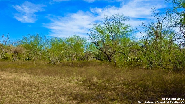 Listing photo id 17 for 0 County Road 107