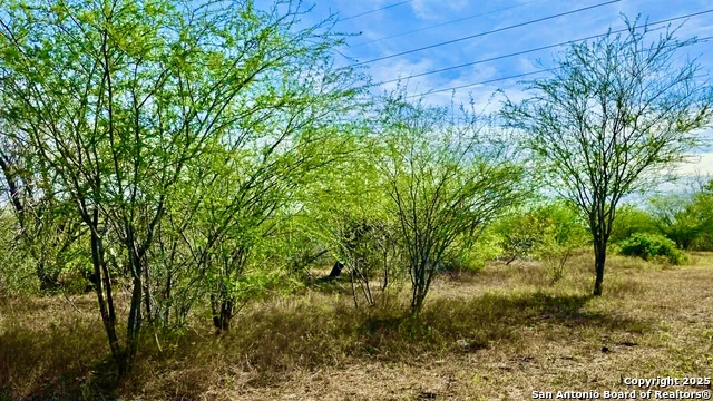 Listing photo id 18 for 0 County Road 107