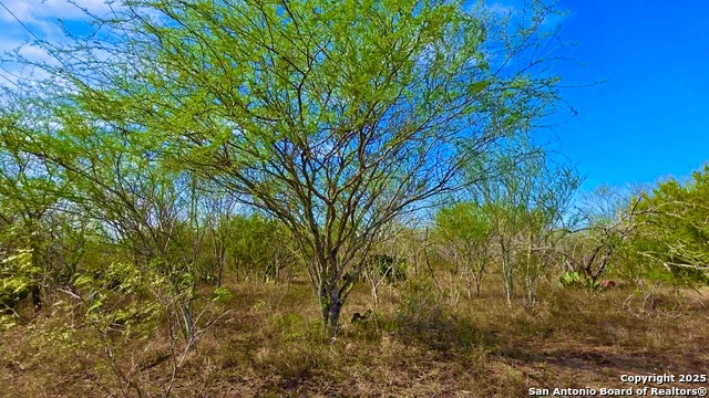 Listing photo id 20 for 0 County Road 107