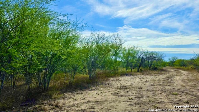 Listing photo id 21 for 0 County Road 107