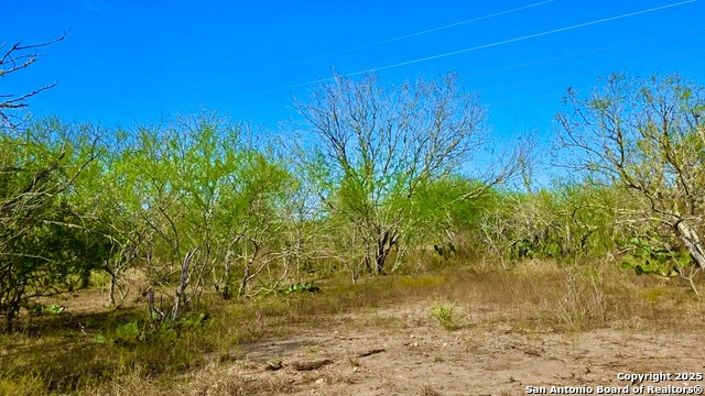 Listing photo id 23 for 0 County Road 107