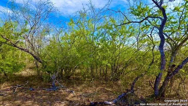 Listing photo id 24 for 0 County Road 107