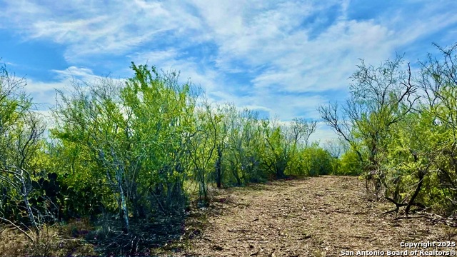 Listing photo id 25 for 0 County Road 107