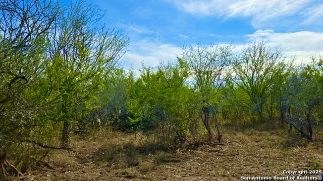 Listing photo id 26 for 0 County Road 107