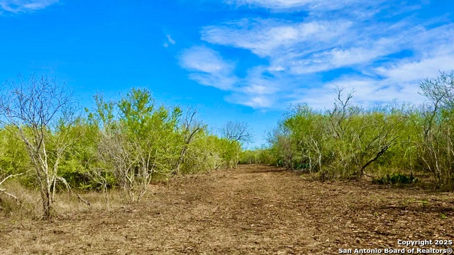 Listing photo id 27 for 0 County Road 107