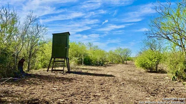 Listing photo id 1 for 0 County Road 107