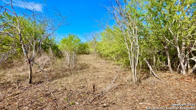 Listing photo id 28 for 0 County Road 107