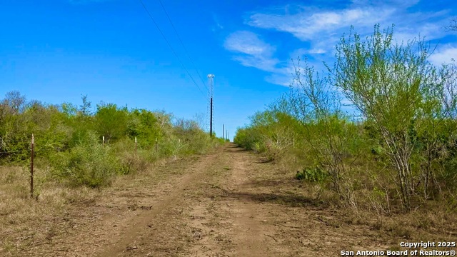 Listing photo id 29 for 0 County Road 107