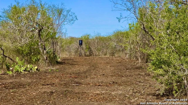 Listing photo id 30 for 0 County Road 107