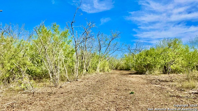 Listing photo id 2 for 0 County Road 107