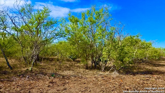 Listing photo id 3 for 0 County Road 107