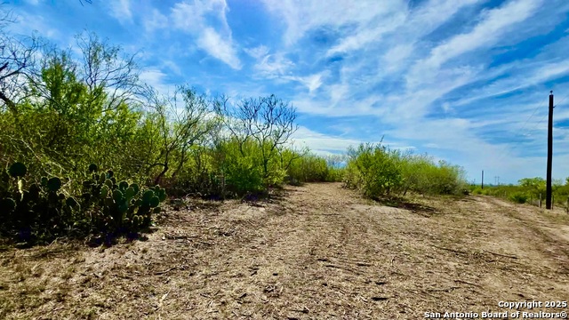 Listing photo id 4 for 0 County Road 107