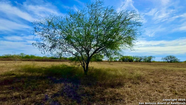 Listing photo id 6 for 0 County Road 107