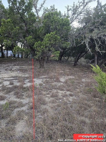 Image 5 of 6 For 712 Scenic