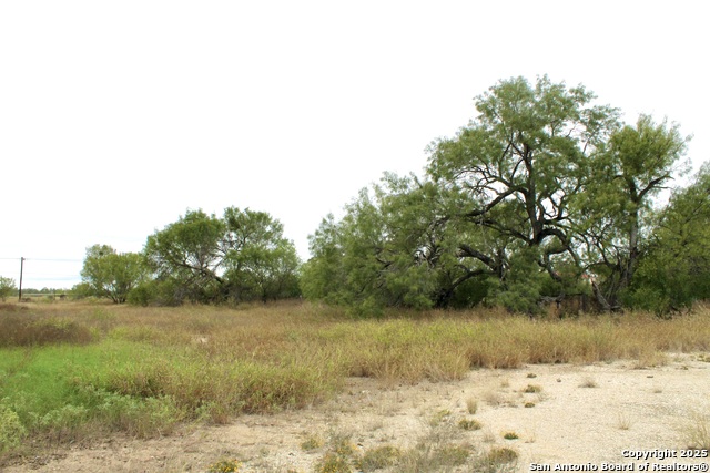 Listing photo id 11 for 000 Fm 462 S