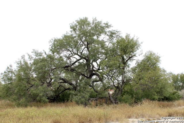 Listing photo id 12 for 000 Fm 462 S