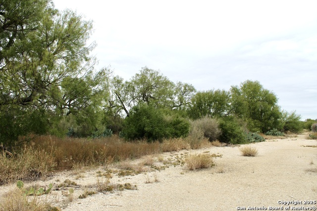 Listing photo id 13 for 000 Fm 462 S