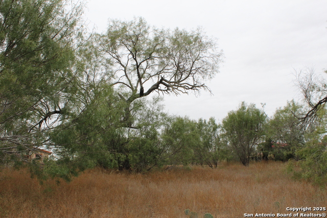 Listing photo id 16 for 000 Fm 462 S