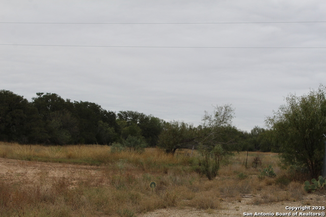 Listing photo id 17 for 000 Fm 462 S