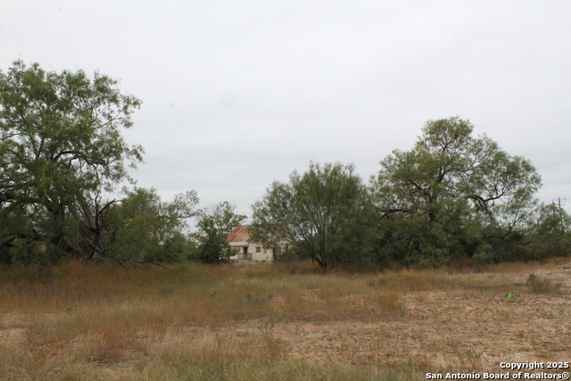 Listing photo id 19 for 000 Fm 462 S