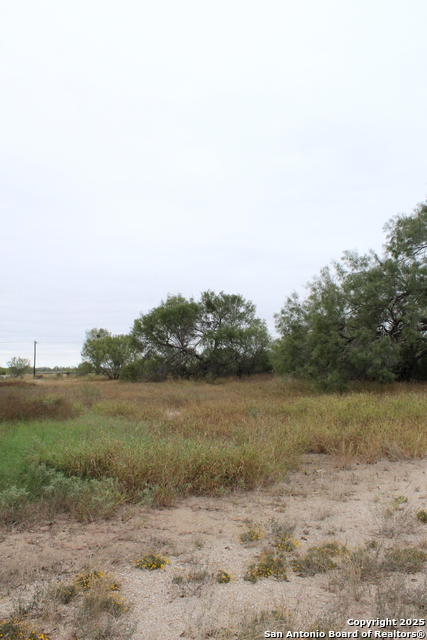 Listing photo id 23 for 000 Fm 462 S