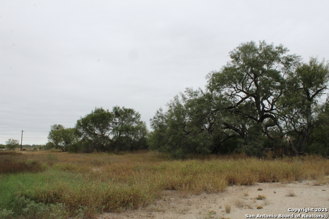 Listing photo id 24 for 000 Fm 462 S