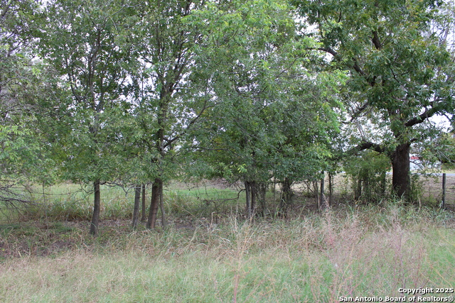 Listing photo id 27 for 000 Fm 462 S