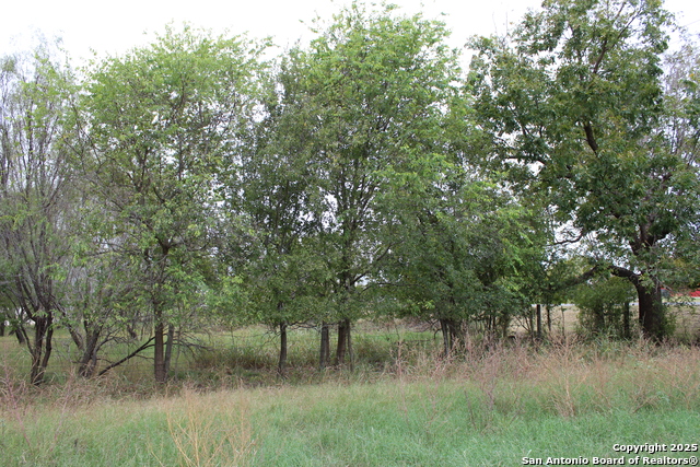 Listing photo id 28 for 000 Fm 462 S