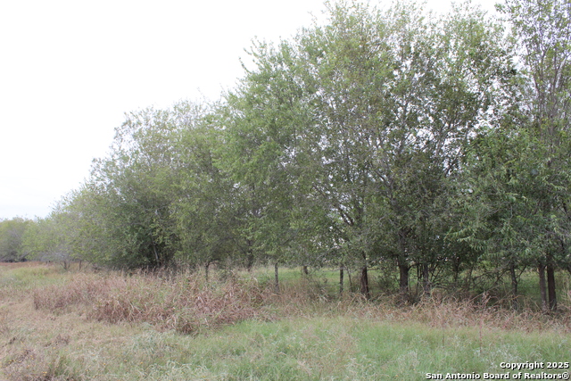 Listing photo id 29 for 000 Fm 462 S