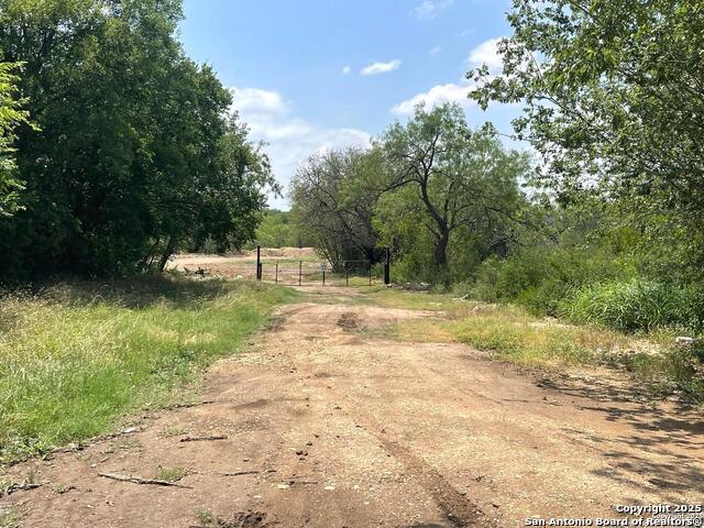 Image 12 of 13 For 117 Diamond