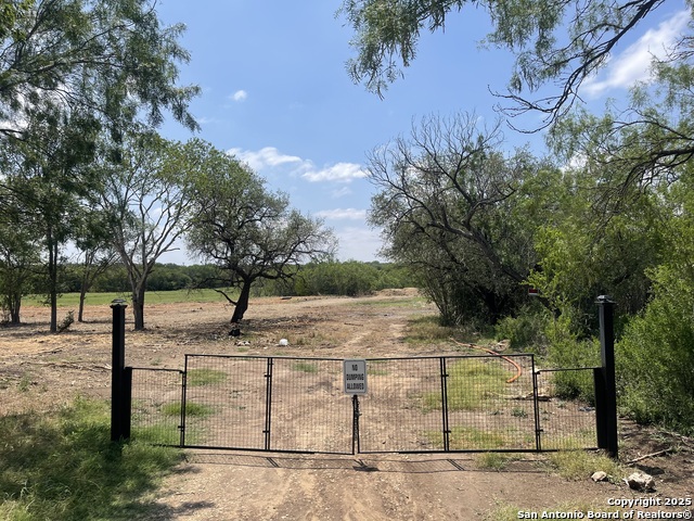 Image 9 of 13 For 117 Diamond