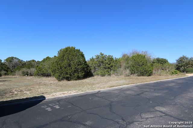 Image 4 of 8 For 22047 Angostura