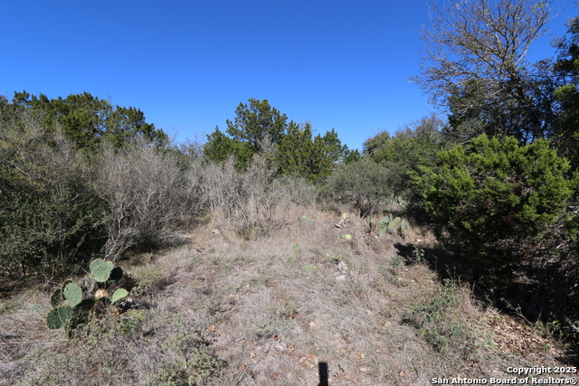 Image 6 of 8 For 22047 Angostura