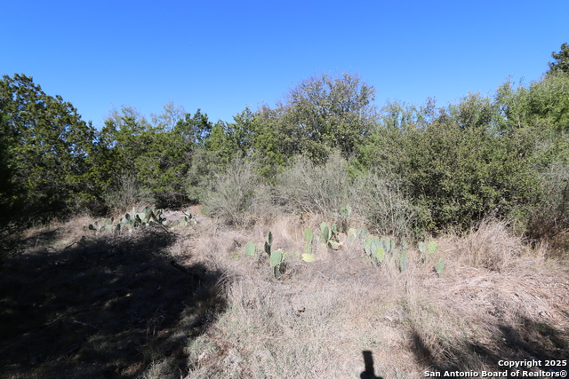 Image 7 of 8 For 22047 Angostura