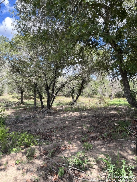 Image 21 of 24 For Lot I 497 County Rd 124