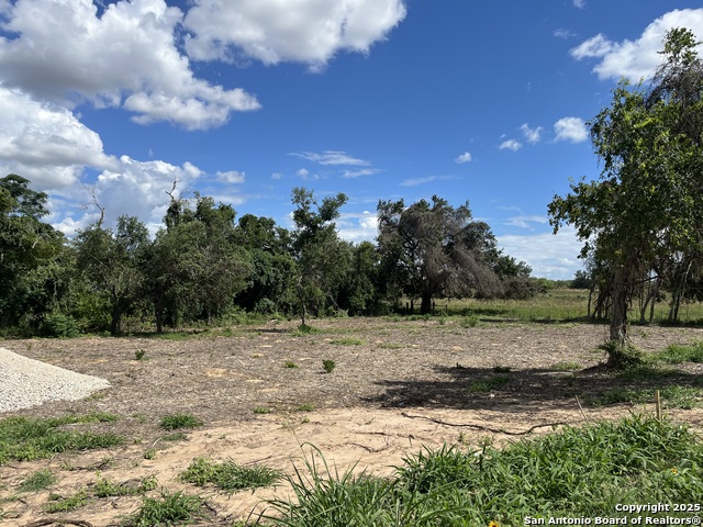 Details for Lot D 497 Cr 124, Floresville, TX 78114