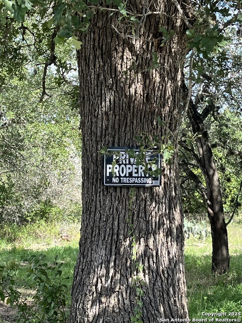 Image 10 of 25 For Lot D 497 Cr 124