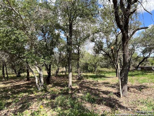 Image 12 of 25 For Lot D 497 Cr 124