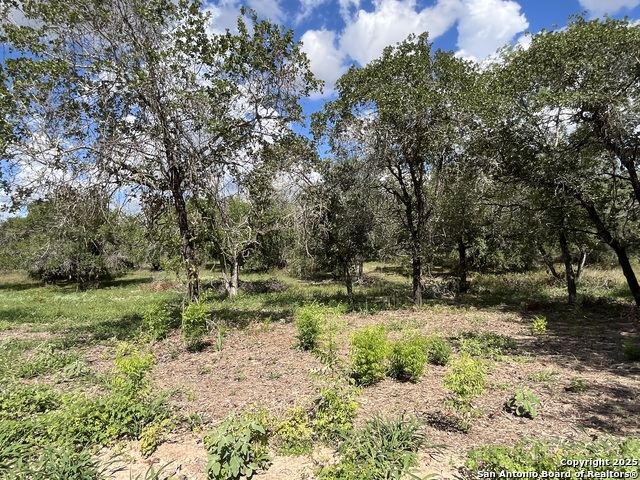 Image 16 of 25 For Lot D 497 Cr 124