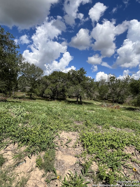 Image 18 of 25 For Lot D 497 Cr 124