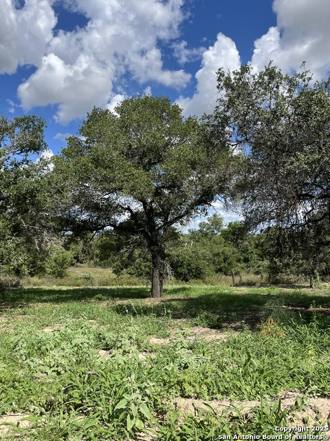 Image 5 of 25 For Lot D 497 Cr 124