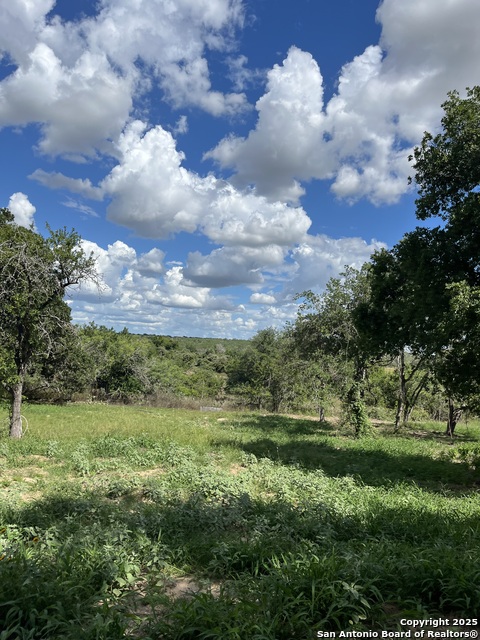 Image 6 of 25 For Lot D 497 Cr 124