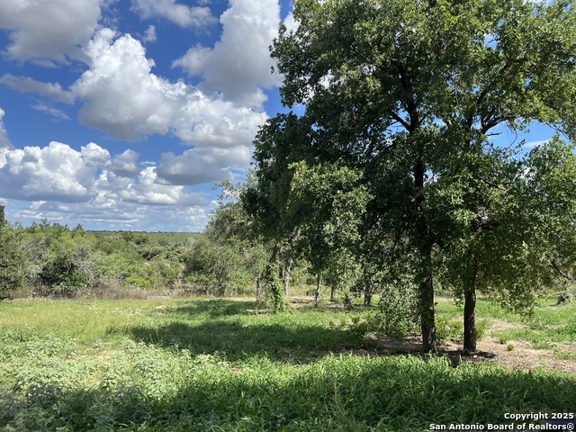 Image 7 of 25 For Lot D 497 Cr 124