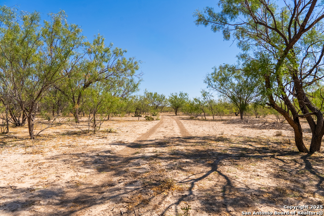 Listing photo id 43 for 2133 Lausen  