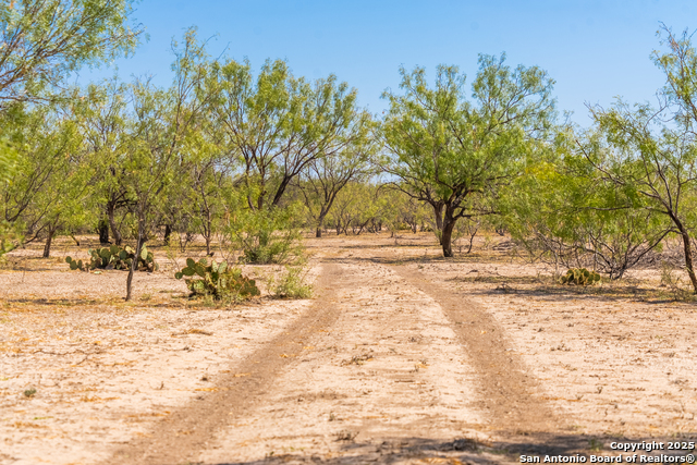 Listing photo id 44 for 2133 Lausen  